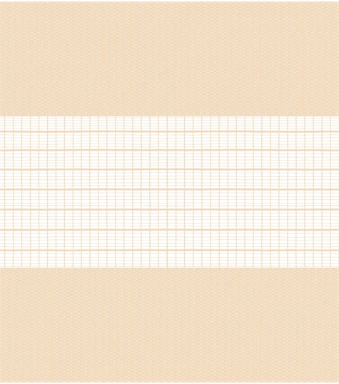 Beige Duo Rolgordijn 