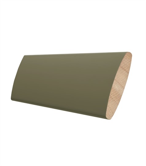 Groene Shutter 