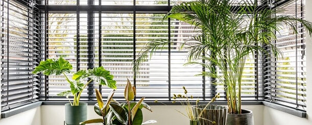 Urban jungle – zo maak je van je interieur een échte urban jungle